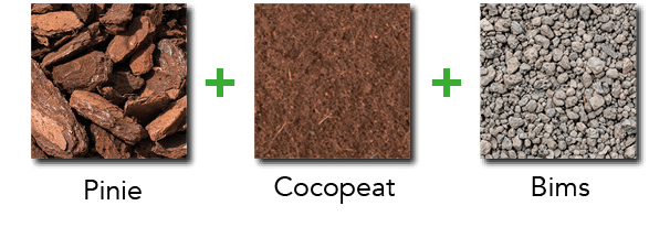 Inhaltsstoffe Bio Orchideenerde torffrei